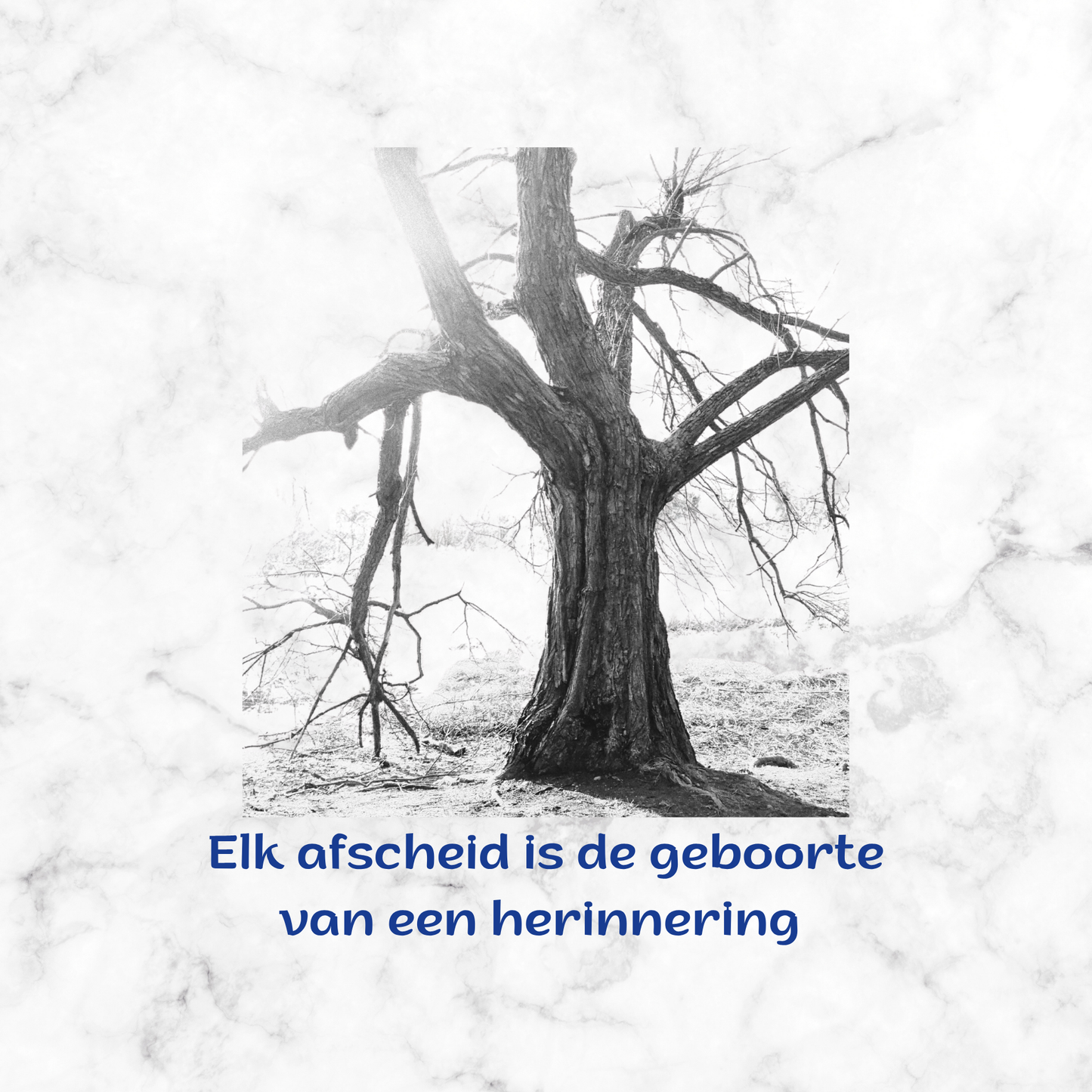 Tegeltje 15x15 cm Kadookuz Design (Afscheid)