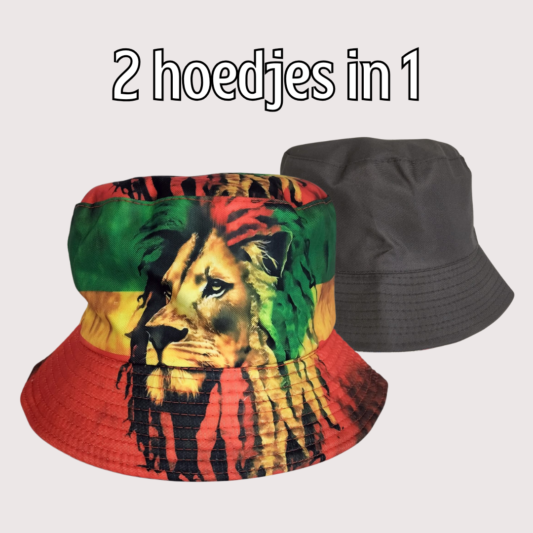Hoedje 2 in 1 Leeuw