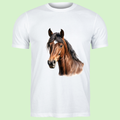 Wit T-shirt met realistische print van een bruin paard met donkere manen en witte ster