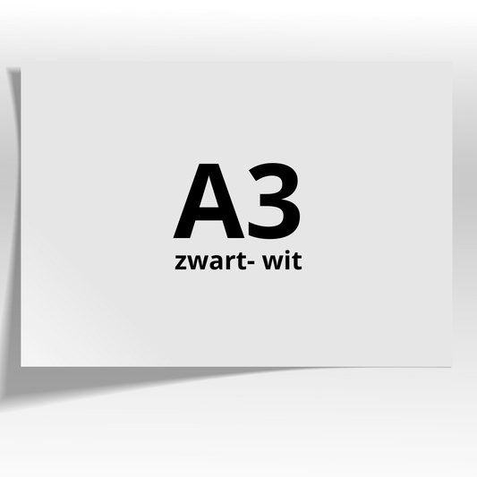 Print- A3- Zwart wit